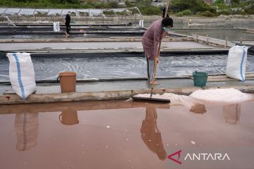 Target percepatan pembangunan pergaraman nasional