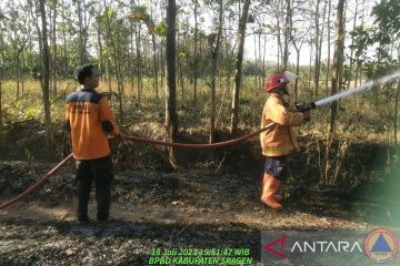 BNPB sebut karhutla di dua wilayah di Jateng telah dipadamkan