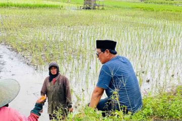 Kalsel siap menjadi penyangga pangan nasional hadapi ancaman El Nino