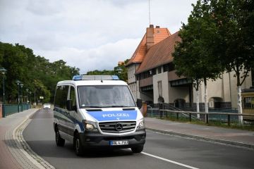 Polisi Berlin buru hewan buas berkeliaran yang diduga singa betina