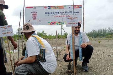 Delegasi Uni Emirate Arab tanam mangrove di Belitung