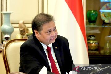 Airlangga: RI harap lebih banyak dukungan global ke negara berkembang