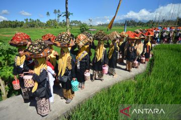 Festival Limo Kaum Malomang di Tanah Datar