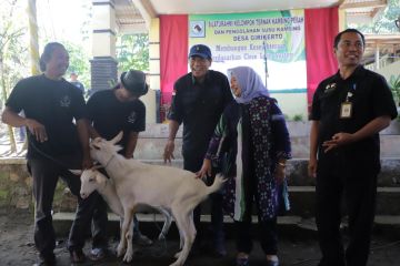 Girikerto Sleman diluncurkan menjadi Desa Close Loop Kambing Perah