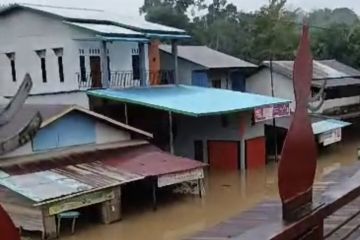 BPBD Kalbar koordinasi tangani dampak banjir dua desa di Ketapang