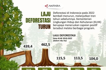 Laju deforestasi turun