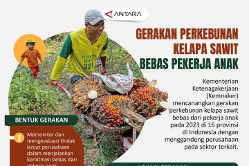 Gerakan perkebunan kelapa sawit bebas pekerja anak