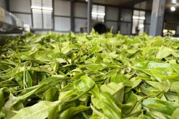 Perdagangan luar negeri produk pertanian China naik 6,4 persen