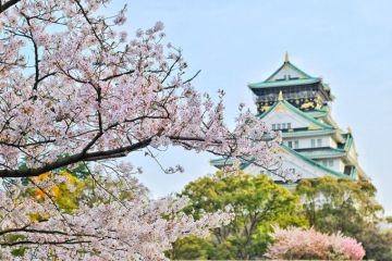 Tips travelling di Jepang tanpa menguras kantong