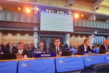 NFA tekankan 3 langkah jaga ketahanan pangan di forum Roma
