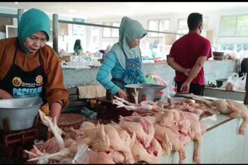 Pedagang di Pacitan keluhkan harga daging ayam naik