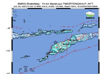 Gempa bumi magnitudo 6,0 guncang NTT