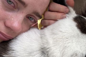 Billie Eilish berkabung atas kematian anabul kesayangannya