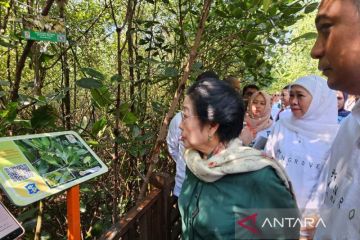 Megawati resmikan Kebun Raya Mangrove di Surabaya