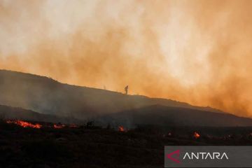 Kebakaran hutan di Yunani meluas
