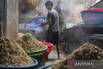 Dampak kelangkaan elpiji 3 kg bagi industri pembuatan tempe