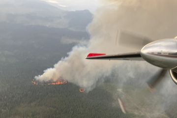 Studi: Emisi karbon dari kebakaran hutan Kanada lampaui 1 miliar ton