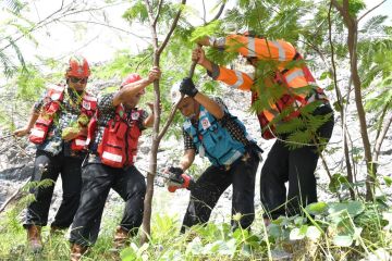 Semen Indonesia gunakan 2,7 juta ton biomassa untuk bahan bakar