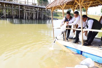 Pemkab Kudus tebar 10.000 benih ikan untuk pemulihan ekonomi