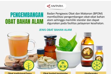 Pengembangan obat bahan alam