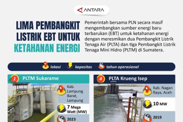 Lima pembangkit listrik EBT untuk ketahanan energi