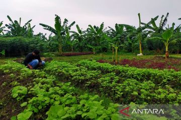 Pemkot Surabaya minta dukungan BRIN kembangkan teknologi pangan