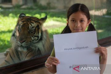 Yayasan: Hari Harimau Sedunia momentum kesadaran jaga habitat harimau