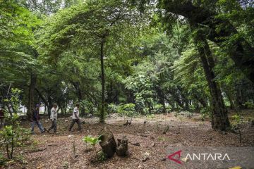 Heru: Manfaatkan hutan kota dengan kegiatan positif