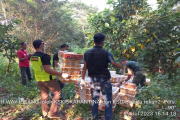 2.509 burung sitaan dilepas di hutan Way Pisang di Lampung Selatan