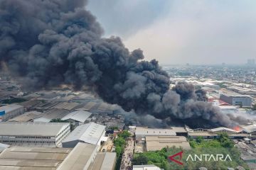 Kebakaran permukiman padat penduduk di Kapuk Muara Jakarta