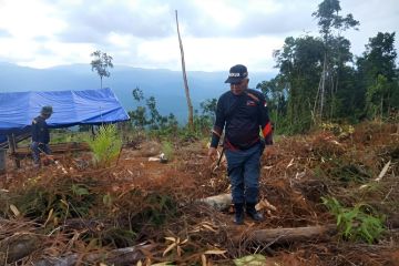 KLHK tetapkan status tersangka perambah hutan di Sulawesi Selatan