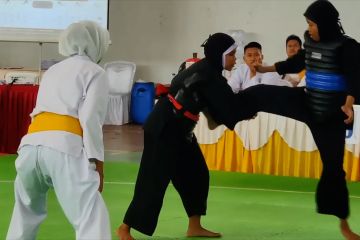 593 atlet pencak silat ramaikan kejuaraan Omah Silat Championship