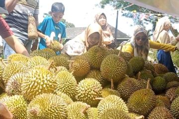 Keseruan festival durian di Samarinda