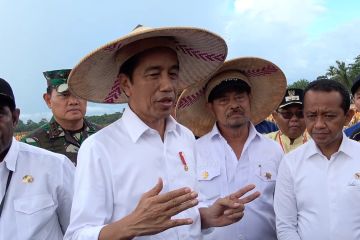 Jokowi persilahkan PNG pelajari hilirisasi industri mineral di RI