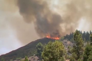 Kebakaran hutan landa Pulau Gran Canaria di Spanyol