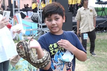 Mengenalkan anak pada hewan eksotis agar tak tumbuh rasa takut