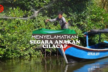 Menyelamatkan Segara Anakan Cilacap bagian 3