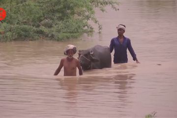 Banjir di India, 40 tewas dan ratusan warga New Delhi diungsikan