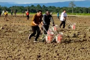 Rencana kunker Presiden Jokowi di Papua, 7 Juli 2023