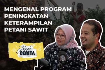 Mengenal program peningkatan keterampilan petani sawit (bag 1)