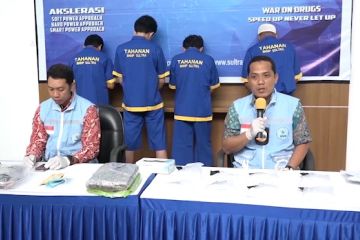 BNN ungkap belasan kasus narkotika di Kalbar dan Sulawesi Tenggara