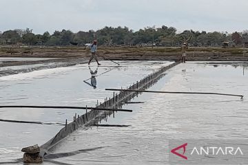 Petani minta PT Garam kendalikan harga garam