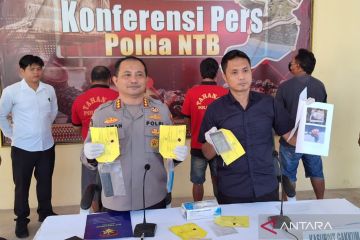 Polda NTB bongkar bisnis penjualan daging penyu hijau