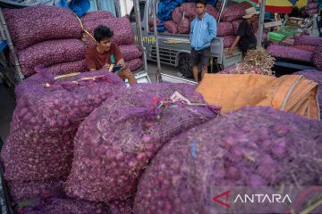 Harga bawang merah anjlok di Palu