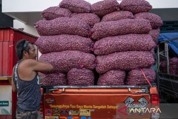 Harga bawang merah anjlok di Palu