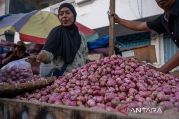Harga bawang merah anjlok di Palu