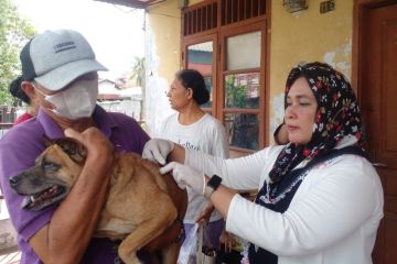 Ratusan hewan peliiharaan di Medan divaksin anti-rabies