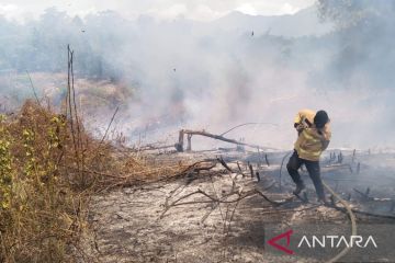 Puncak kemarau, 8 hektare lahan terbakar di Aceh Besar terbakar
