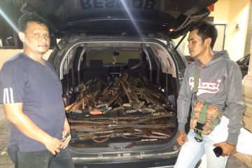 Masyarakat TNUK serahkan 202 senjata api rakitan ke Polda Banten