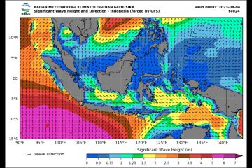 BMKG: Waspada gelombang 6 meter di sejumlah perairan RI 4-5 Agustus